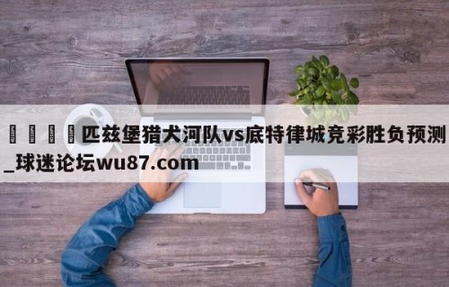 🍢匹兹堡猎犬河队vs底特律城竞彩胜负预测_球迷论坛wu87.com