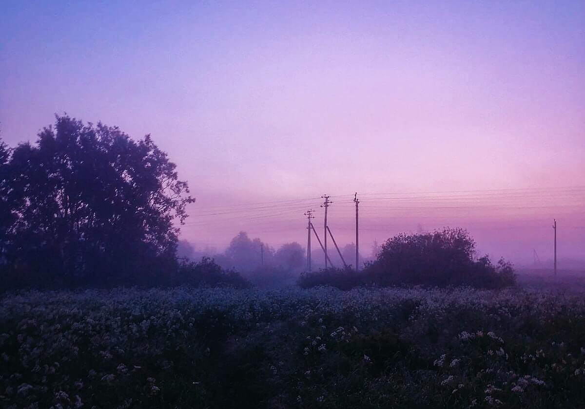 世俱杯预测分析:弗拉门戈 vs 拜仁慕尼黑