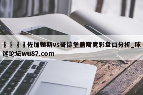 🍢佐加顿斯vs哥德堡盖斯竞彩盘口分析_球迷论坛wu87.com